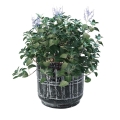 BELLDECO :: Nero Osłonka prosta 16cm CG36626WC64B