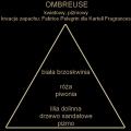ombreuse_kartell_fragrances_piramida_homefragrances_pl_1.jpg