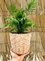 doniczka_oslonka_wiklina_imitacja_boho_h-design (2).jpg