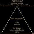 ombreuse_kartell_fragrances_piramida_homefragrances_pl_1.jpg