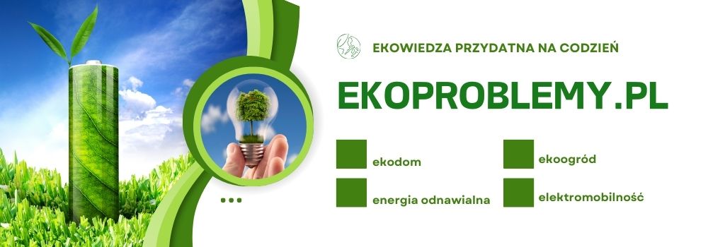 ekoproblemy.pl