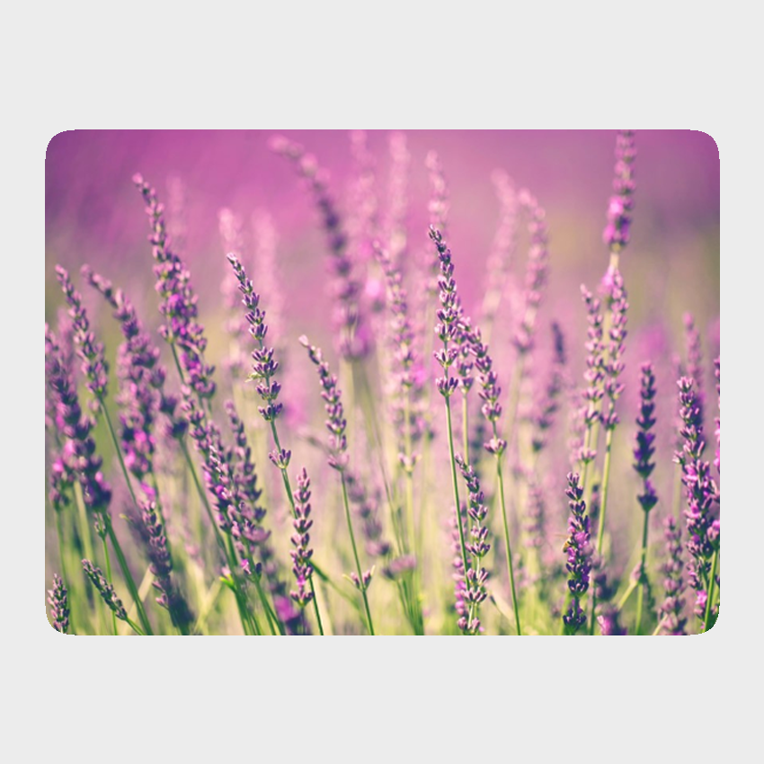 podkladki_lawenda_zestaw_4szt_h-design.png