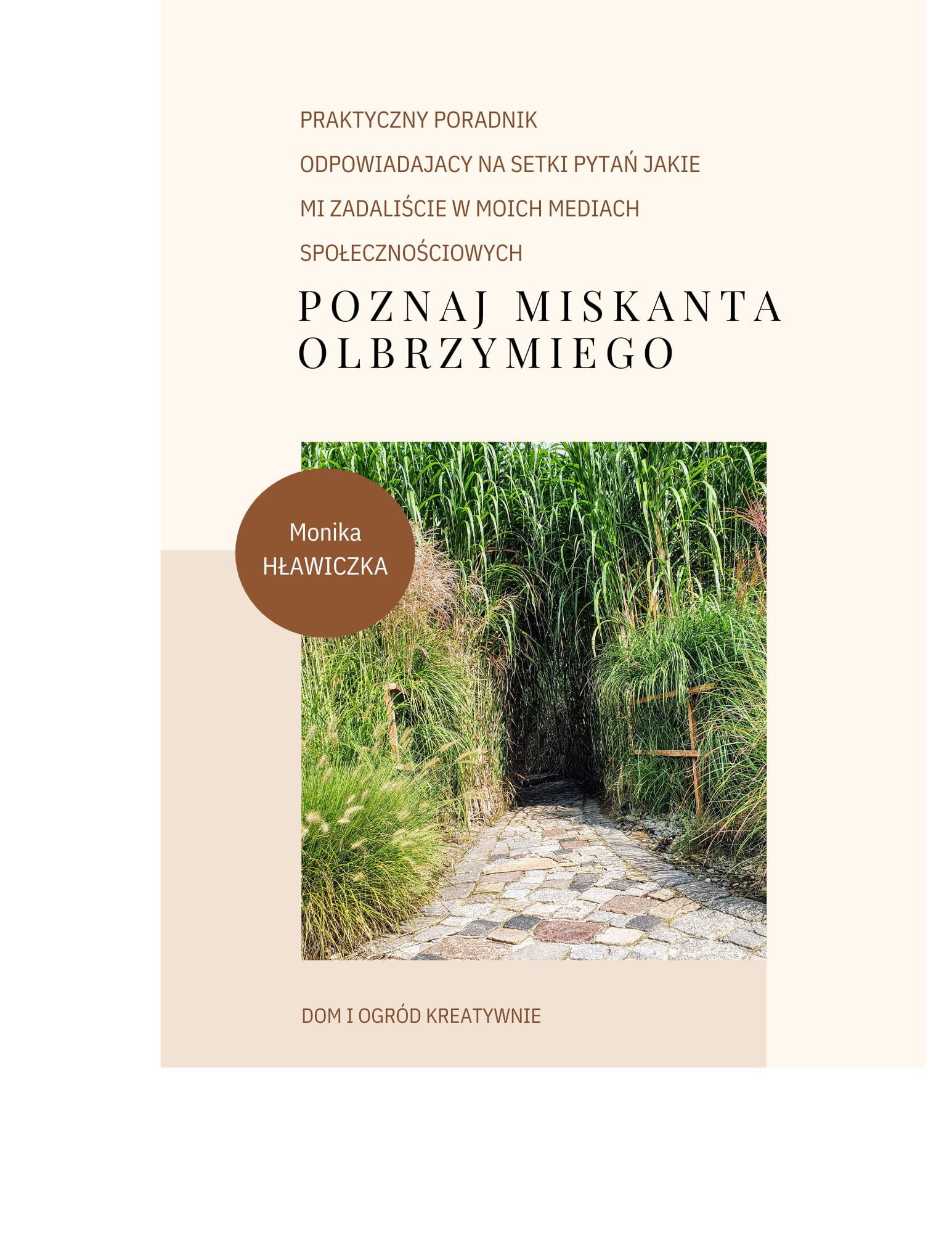 poznaj miskanta olbrzymiego