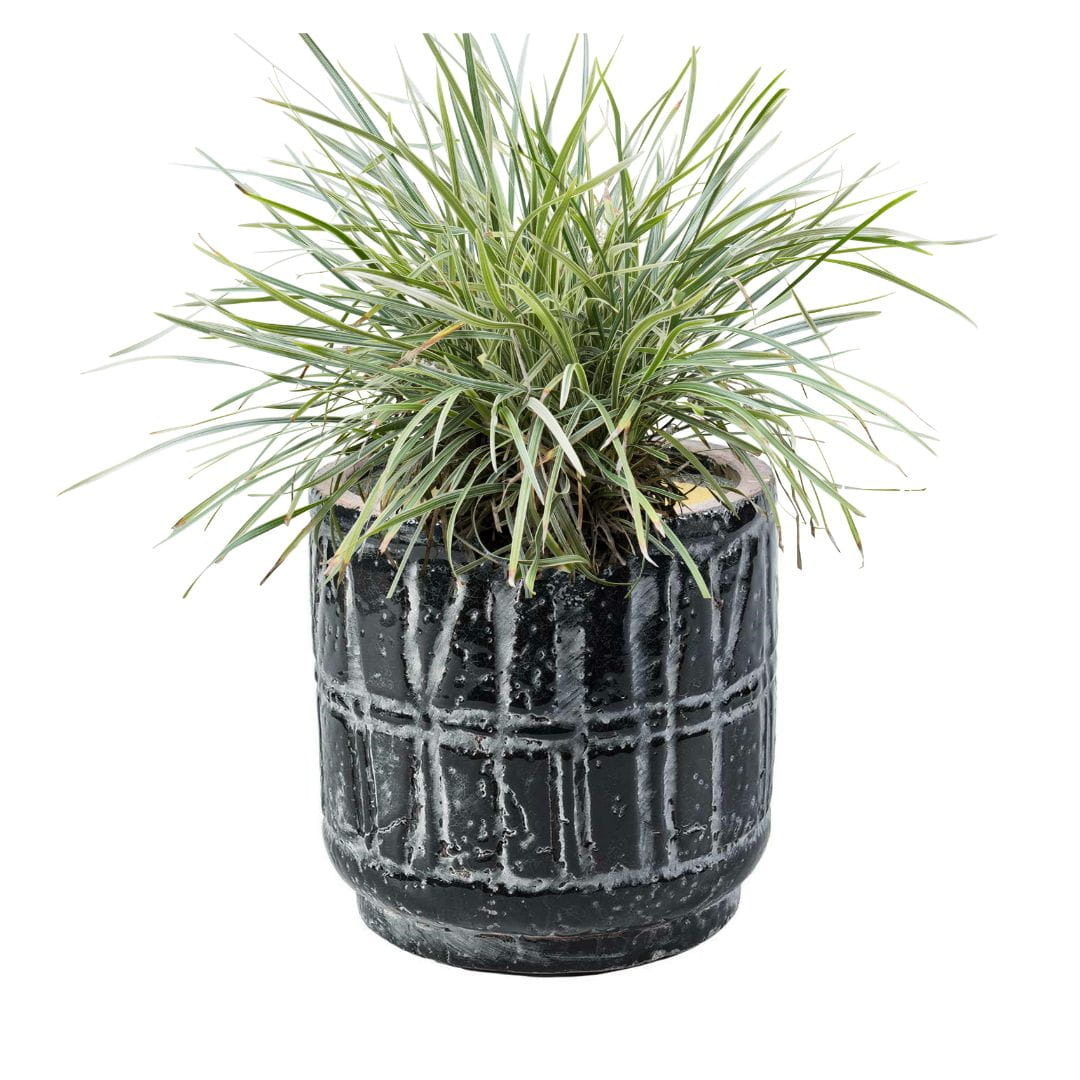 BELLDECO :: Nero Osłonka 20cm prosta 2A czarna CG36626WC64A