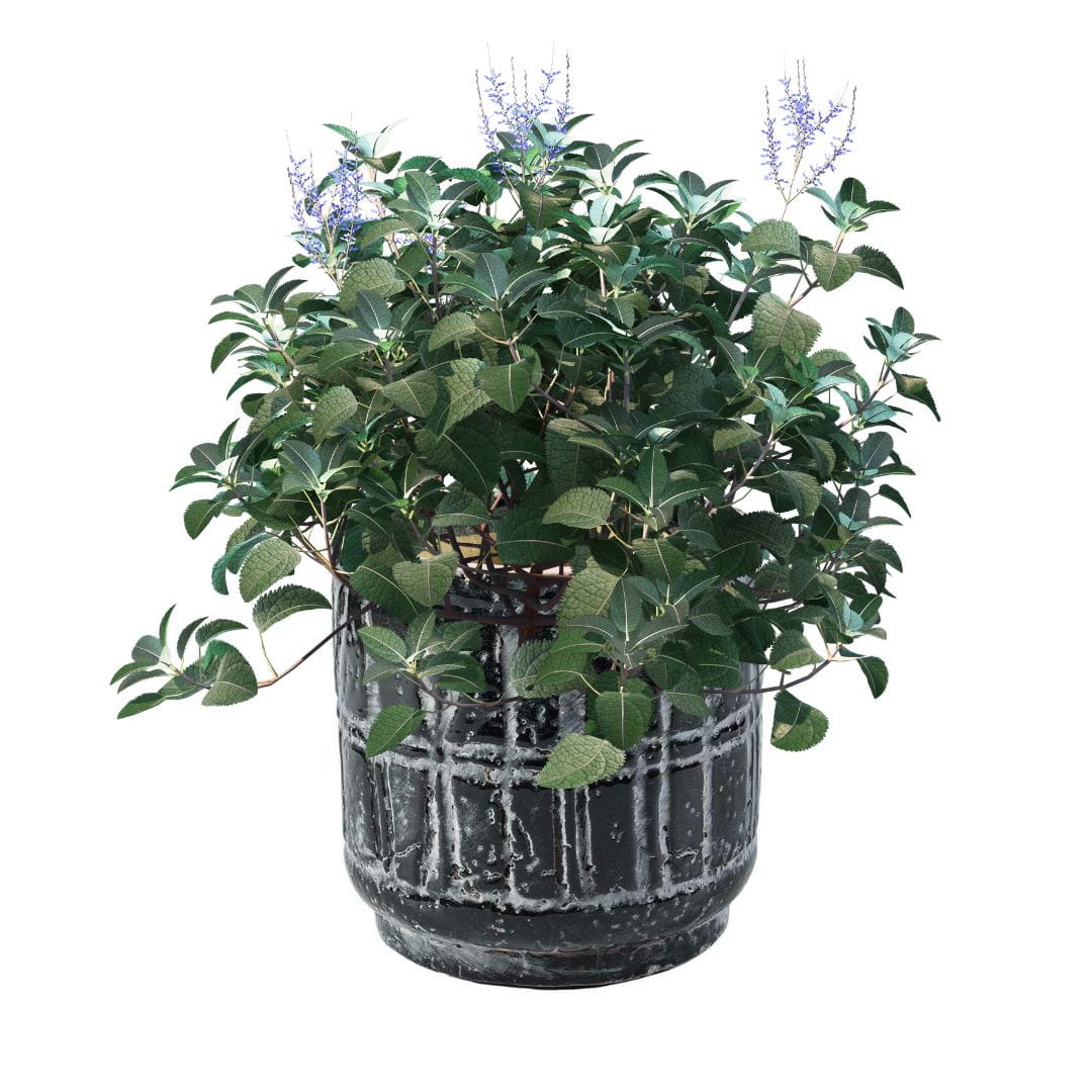 BELLDECO :: Nero Osłonka prosta 16cm CG36626WC64B
