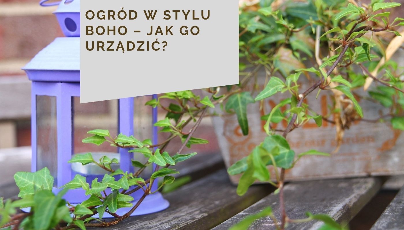 Ogród w stylu boho – jak go urządzić?
