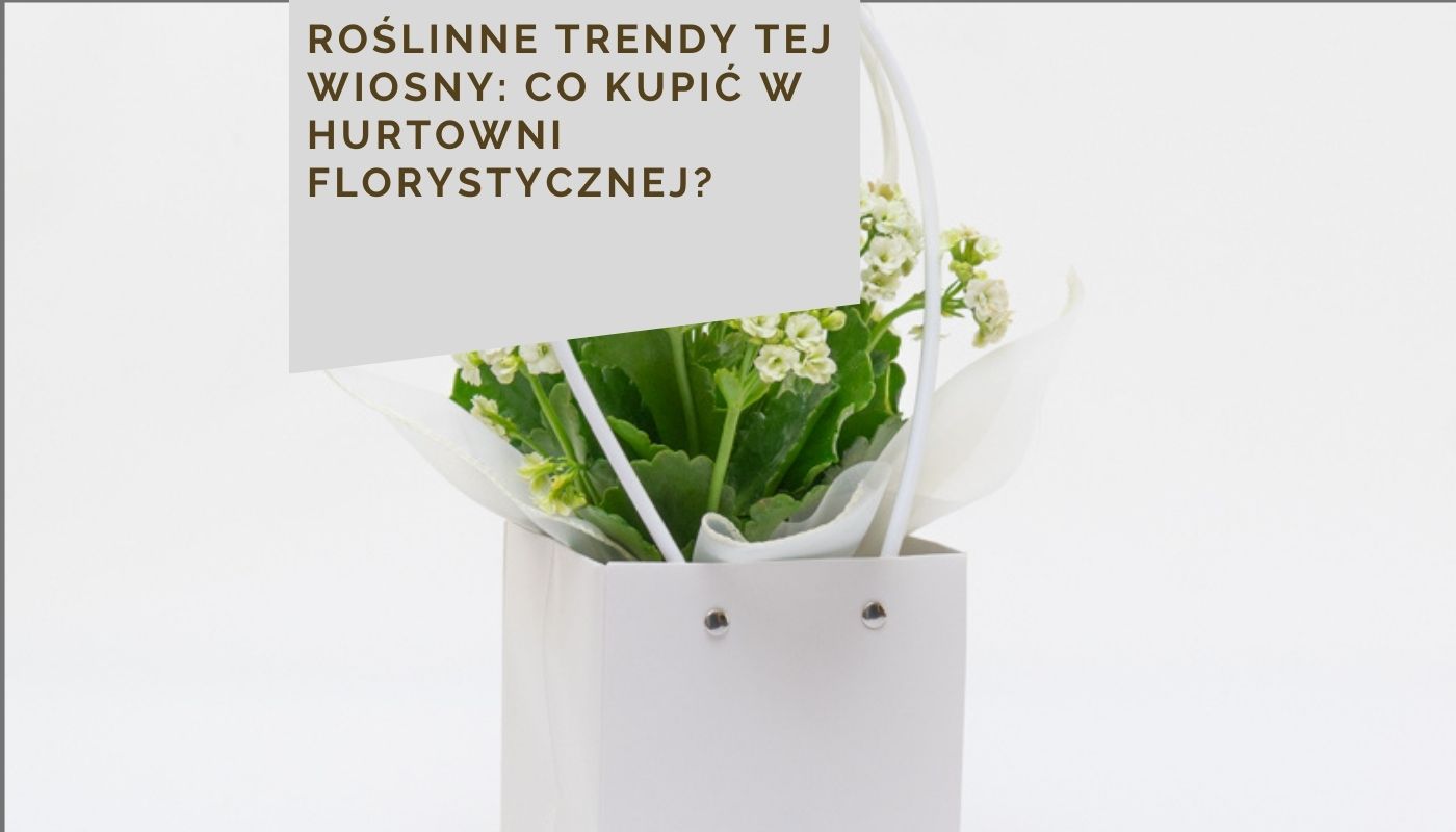 Roślinne trendy tej wiosny: co kupić w hurtowni florystycznej?
