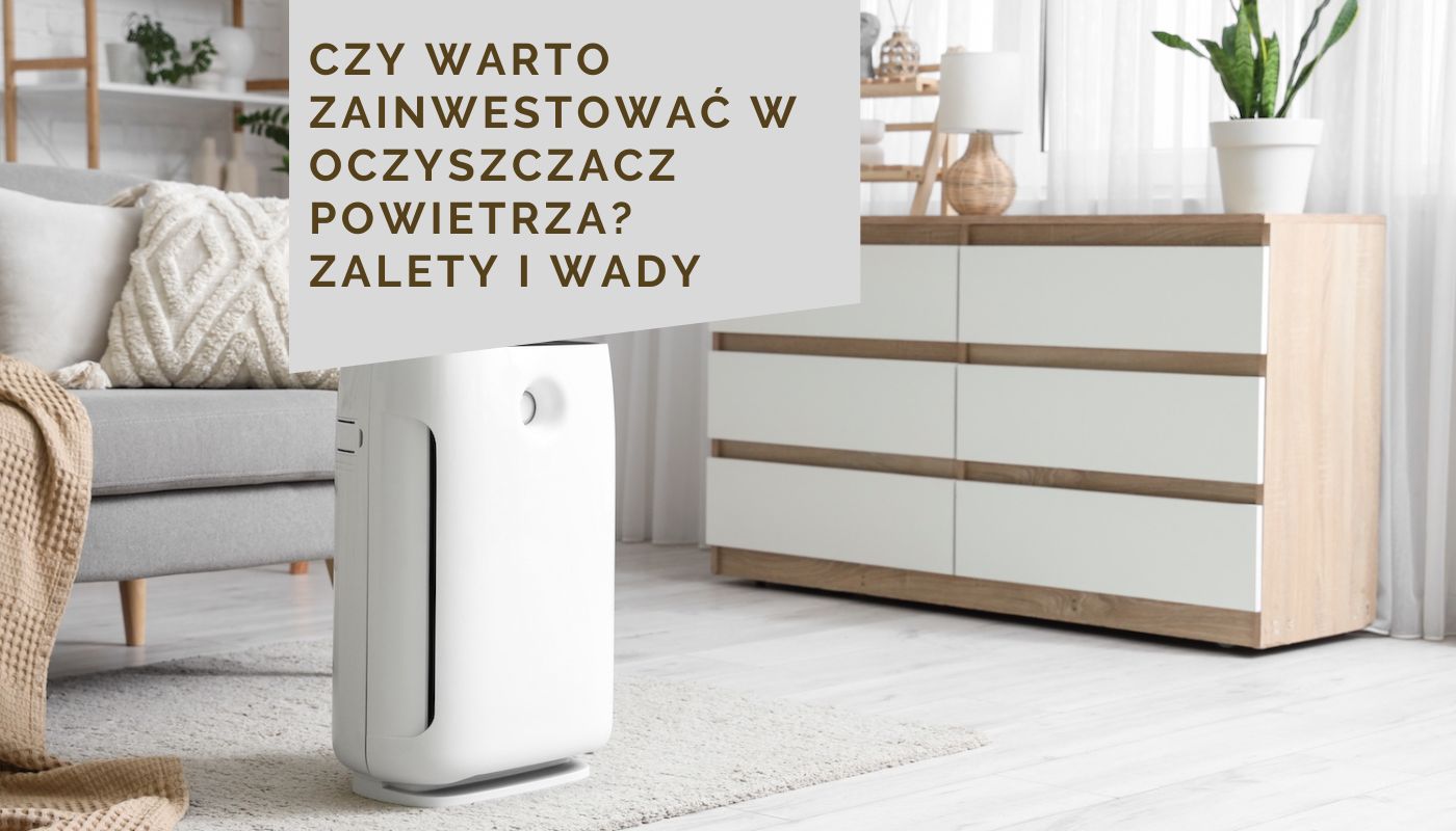 Czy warto zainwestować w oczyszczacz powietrza? Zalety i wady