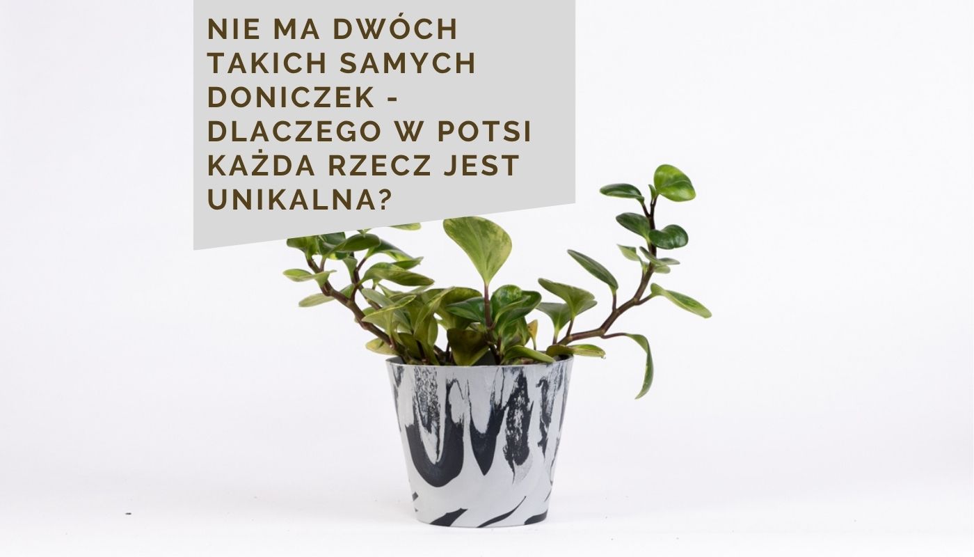 Nie ma dwóch takich samych doniczek - dlaczego w Potsi każda rzecz jest unikalna?