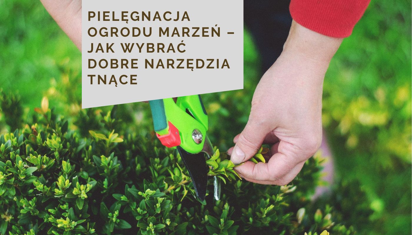 Pielęgnacja ogrodu marzeń – jak wybrać dobre narzędzia tnące